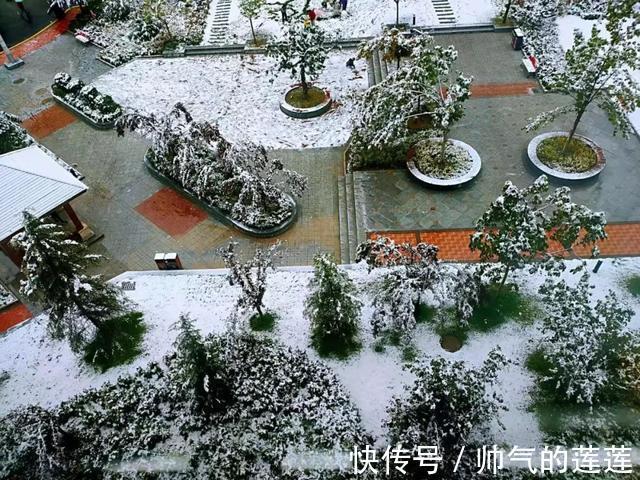 雪景|惊艳！平凉迎来入秋第一场雪，刷爆朋友圈！