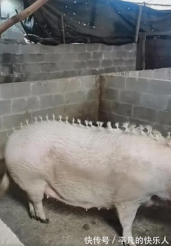 |今日段子:竟然还有人反向烤火?难道不怕烧到屁股吗?