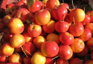 口蘑|女性不愿老太快,多吃3种食物,润泽皮肤、延缓衰老、早吃早好