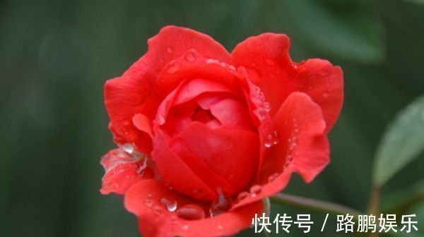 巳时|出生在以下时辰的孩子,个个“文曲星”,孝顺懂事,长大有出息