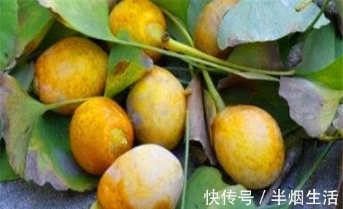 保健果|想长寿先排毒,推荐吃3种食物,美容减肥,早吃早好!