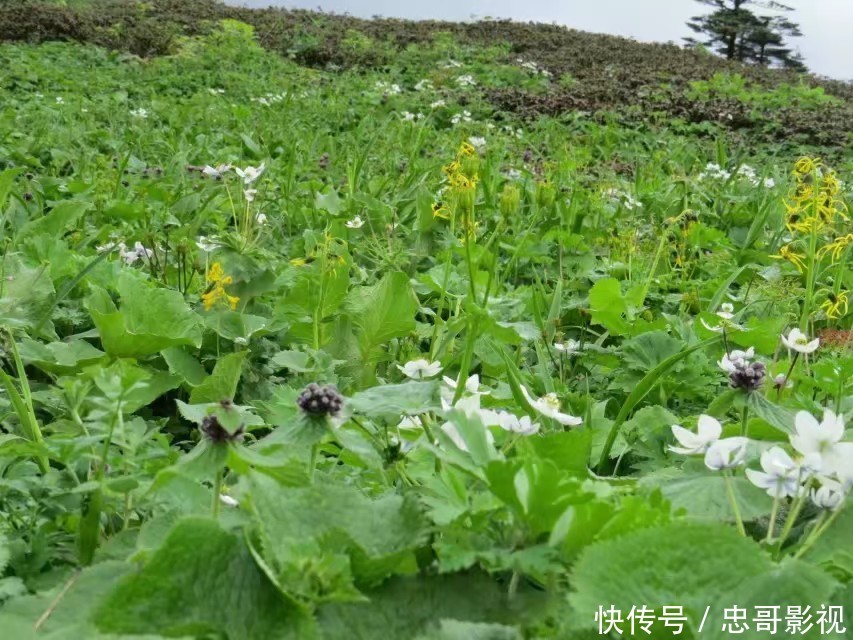 翻山越岭，只为寻找不一样的美，