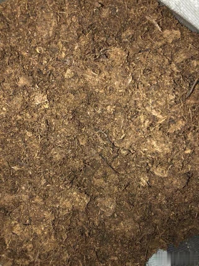 秋天养花不用买土,这种“免费土”,一分钱不花,一挖一麻袋