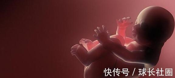 神经细胞|胎儿在妈妈子宫内待10个月,智力发育却只在3周,妈妈可别错过