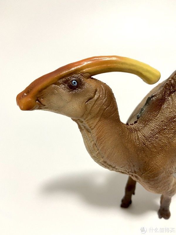 赵闯|恐龙模型 篇一:除了没有可动,其他基本完美——PNSO副栉龙把玩分享