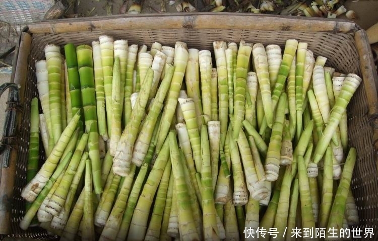 營養|城里吃不到的5種野菜，個個營養秒殺保健品，最后一種沒幾個人懂