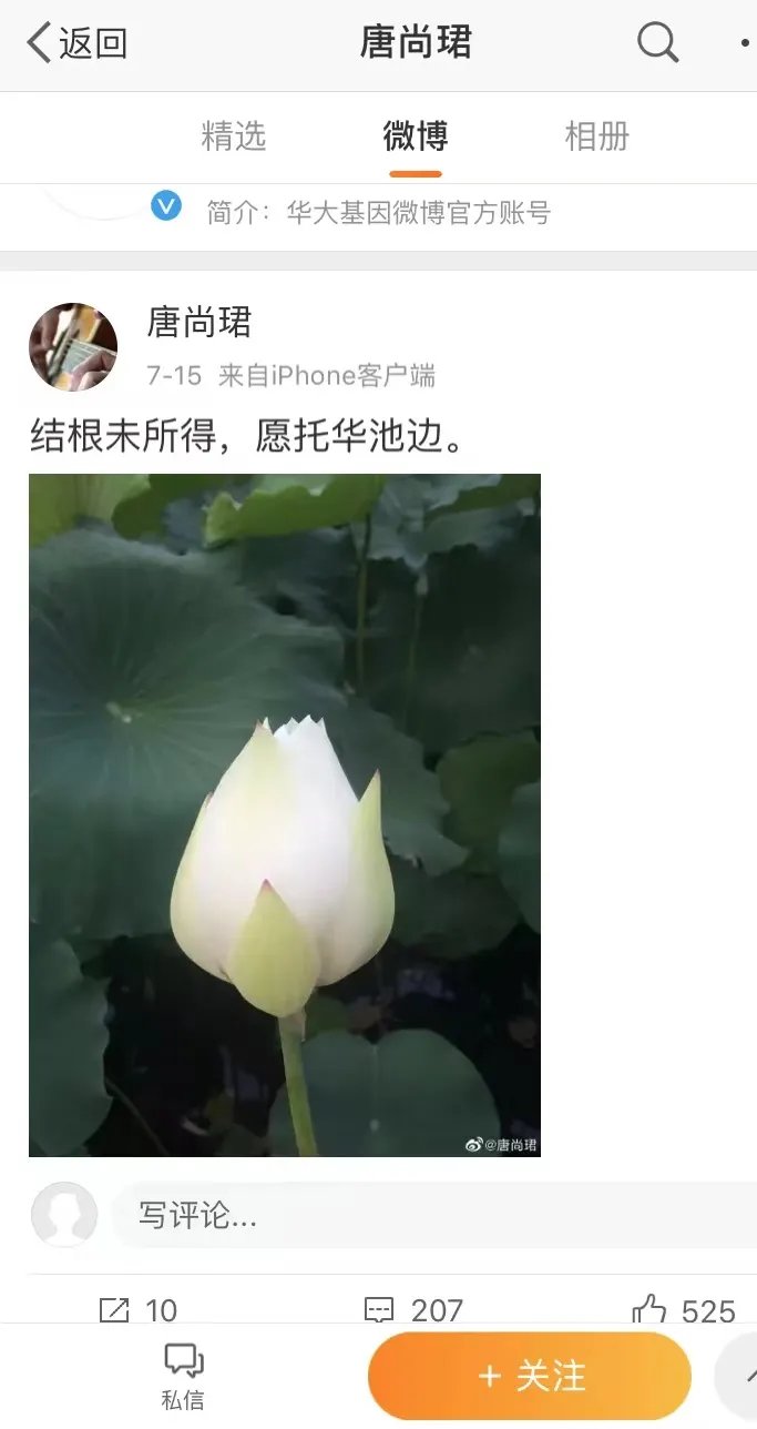 清华|“复读12年，只想上清华”，别成了励志故事