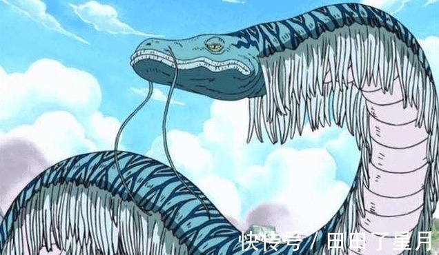 海贼世界|海贼王象主会不会是海贼世界最大生物