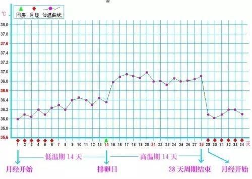 这样备孕，成功率高，还能让宝宝更健康！