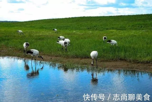 鸟类|中国最美六大沼泽湿地，养在深闺无人识，去过的都惊叹不已