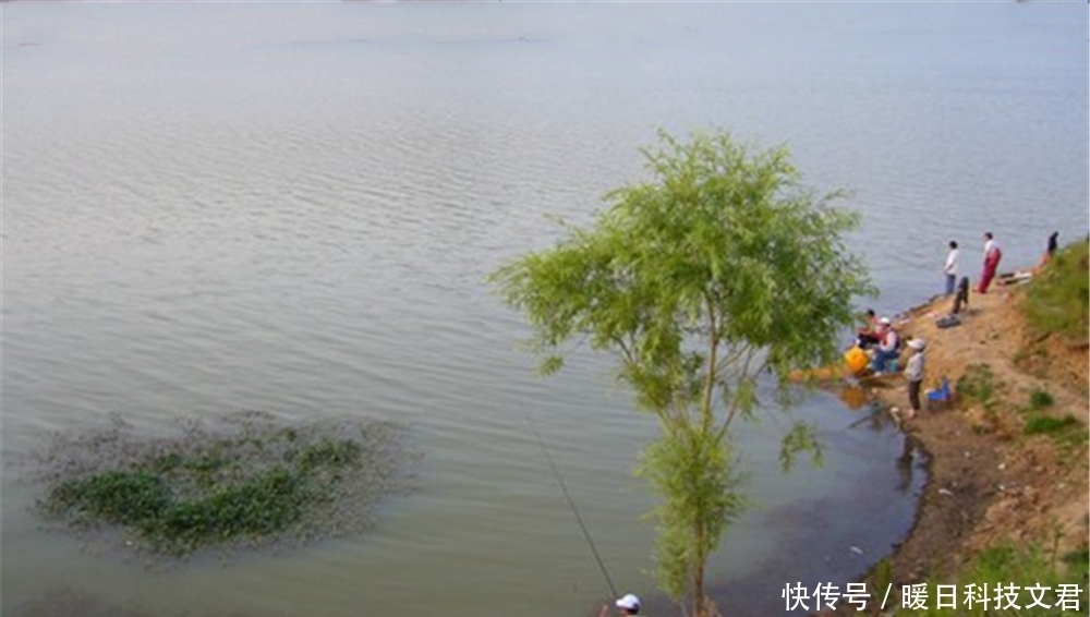 水闸|夏季钓不到鱼?往往是气压低导致鱼儿不开口,换个招数,轻松钓鱼