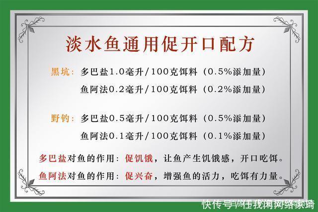 鱼口|夏天在高温天气钓鱼,饵料味型怎样调配夏天钓鱼饵料的调味技巧