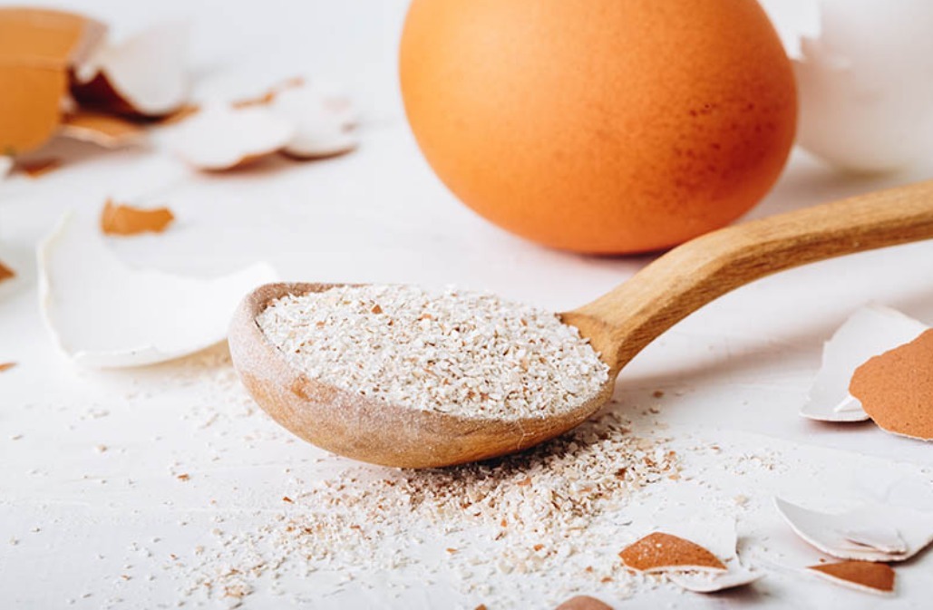 怎么安心用蛋壳养花没落实这些,盆栽植物会越来越糟