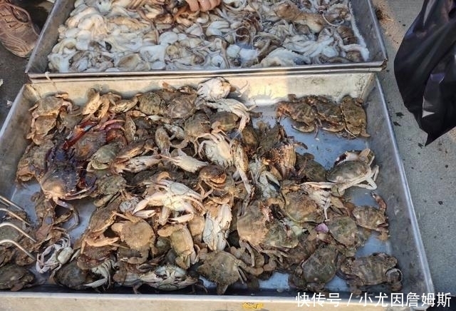 生活|这个胶东沿海小渔村,最适合美食家生活,想吃啥海鲜都有