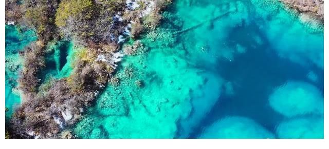 节目|一档故意想让人睡觉的节目，《风度中国》也太反常规了吧