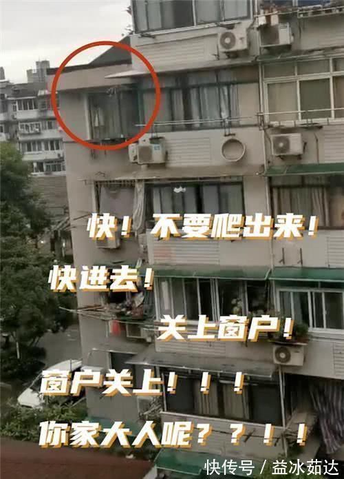 宝妈|三胞胎“午休照”火了,看到弟弟睡姿,网友全网混得最差男宝