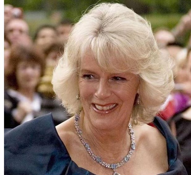 海蓝宝#同戴海蓝宝石首饰,卡米拉奢华繁琐戴妃简约大气,展现了两种美