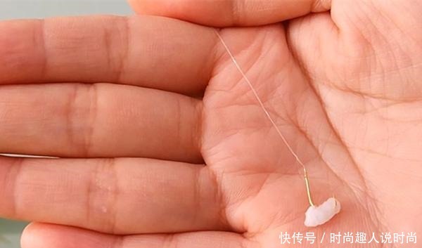 米饭饵料的制作和使用技巧,这些饵料小鱼不沾,钓大鲫鱼有奇效!