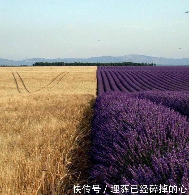 19张你能盯着看超过1分钟的惊奇照片,让你发现世界的奇妙!