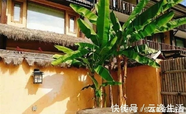 长方形|70后大叔用6年时间,建造400㎡院子,为追求原始房顶铺茅草