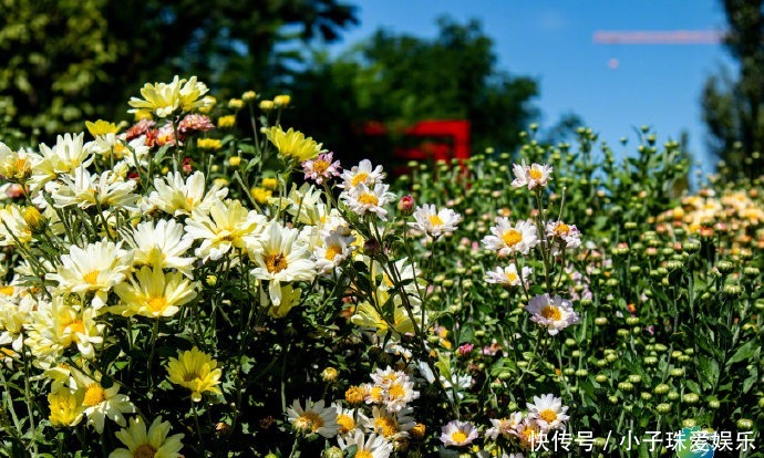 走进千童文化园,观徐福渡海求仙