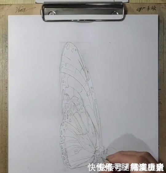 手绘3D#美术生手绘3D蝴蝶，成画惊呆众人，粉丝：传说中的蝶舞翩翩？