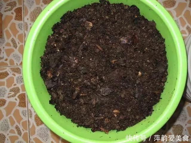 路边捡点它,开水一烫扔盆里,养花10年不烂根!