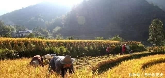  快过年了！你知道“头鸡二狗，三猪四羊，五牛六马”是什么意思吗？