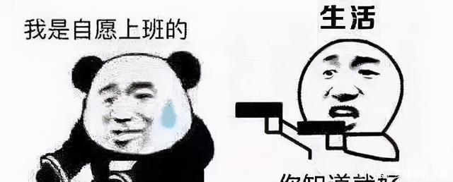 姐姐|打工人爆火后,姐姐们又互撕了?