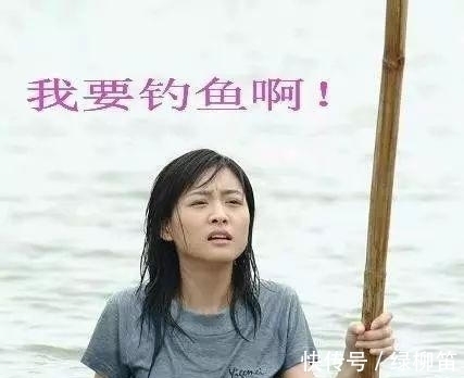 85%的钓鱼人都不知道的,垂钓冷知识,若读懂,鱼获倍增