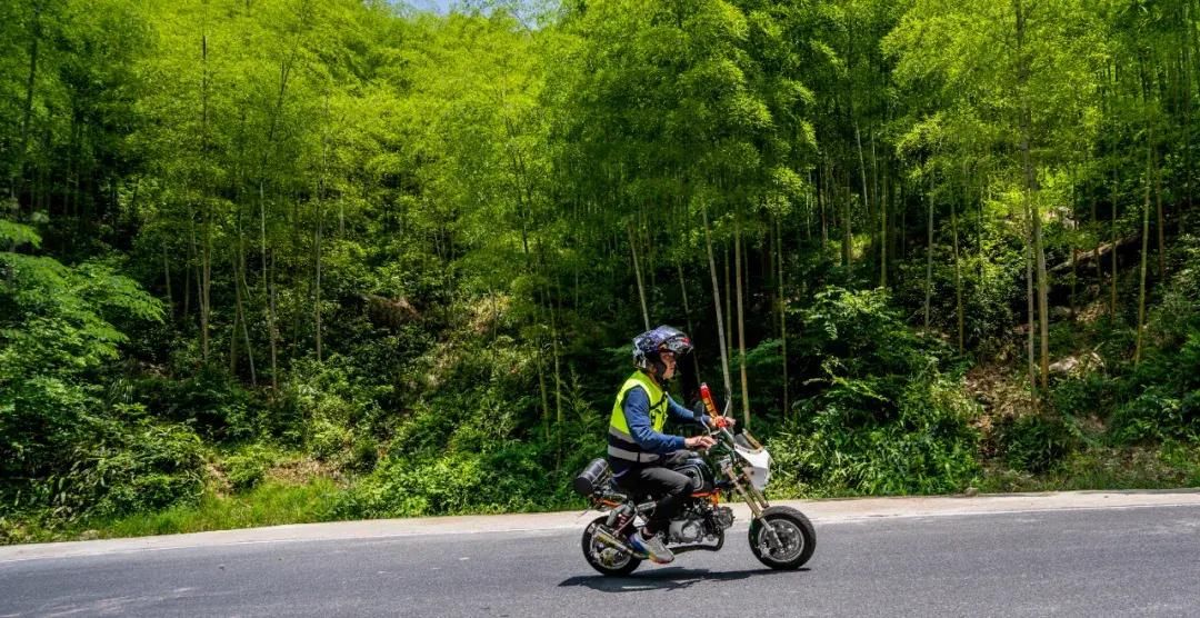 车队|上海车友安吉龙王山二日游