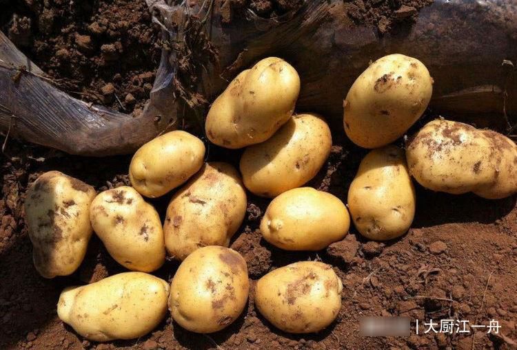 霜降后,聪明人都囤上这4种菜,好吃不贵营养美味,很多人不知道