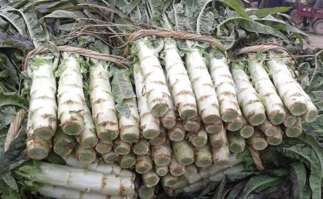 三伏天|得了糖尿病别着急,生活中敞开吃4物,血糖或能悄悄下降!