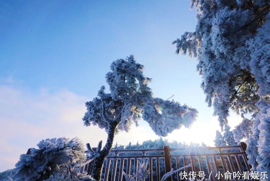 雪景|遂昌大美雪景图！让你一次看个够