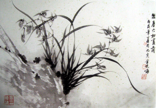 浙江省国际美术交流协会!当代实力画家金晓海——2022迎新春