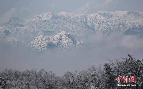 光雾|雪后光雾山雾凇美景让游客流连忘返