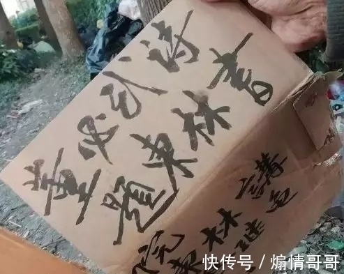 流浪大师#当大师不再流浪,他的书法也开始“油腻”起来