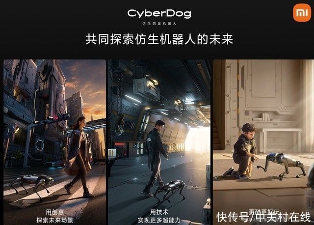 x小米这只狗 到底安的什么“芯”