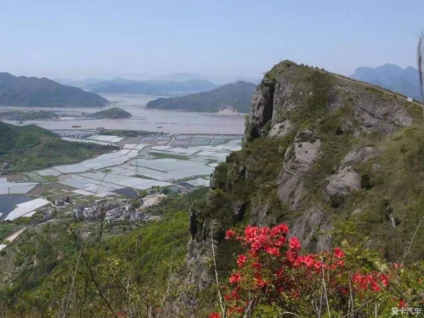 满山开遍映山红