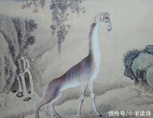  画像|郑和下西洋曾带回一只神兽麒麟，为何画像公开后，网友都笑了?