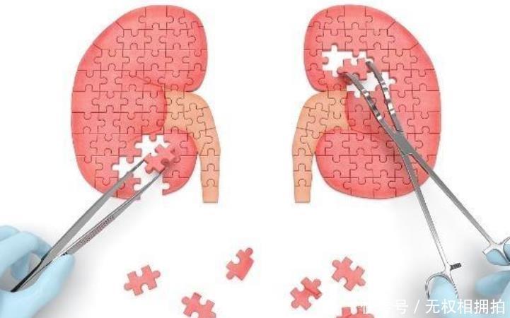 小知识|如果肾累了，脚上会有三个“东西”，如果发现一个，该照顾肾脏了