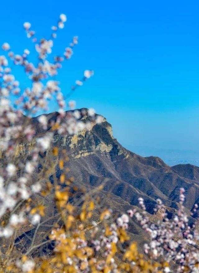 优秀人才|云丘山的美丽冷门赏春地，只能1％的优秀人才能发觉TA