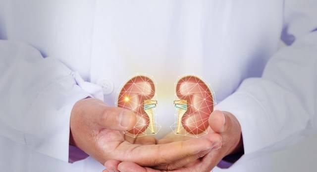 尿蛋白定量|从糖尿病到尿毒症，会经历五个阶段，远离尿毒症，这四件事不要做