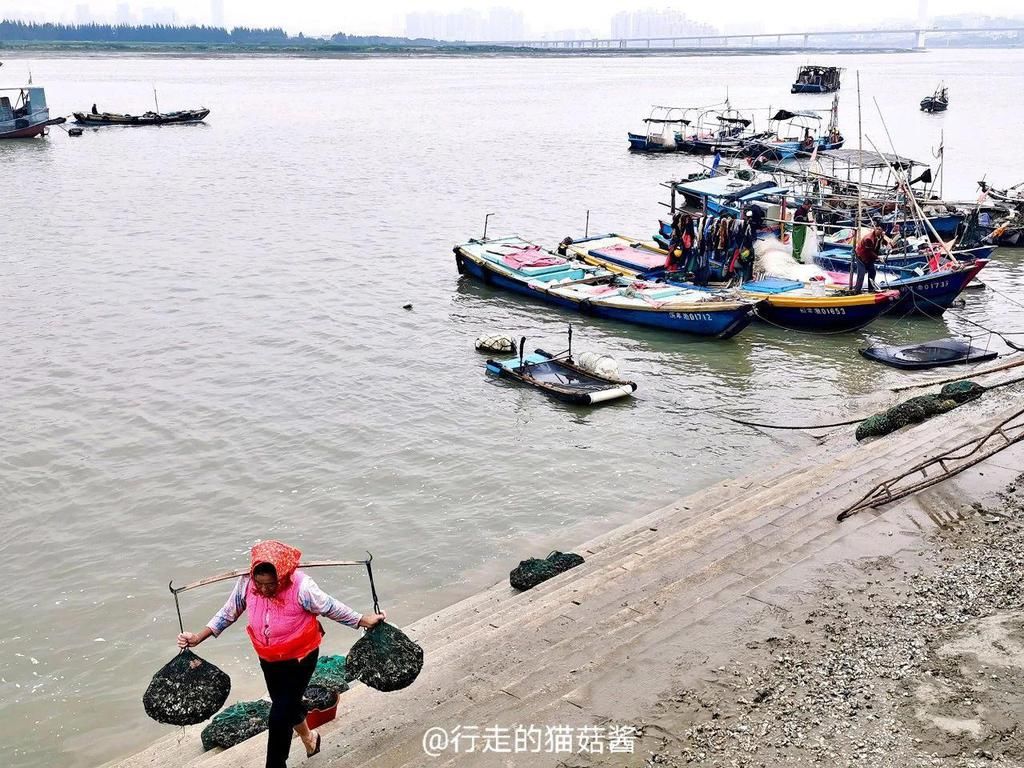 房子|闽南的这个神奇村落，用海蛎壳建房子，居住的是阿拉伯人后裔