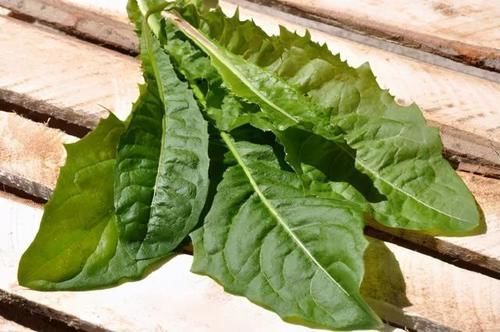 防癌|白开水加点料,晨饮通便祛湿、晚喝助眠防癌!一杯下肚,全身都舒畅