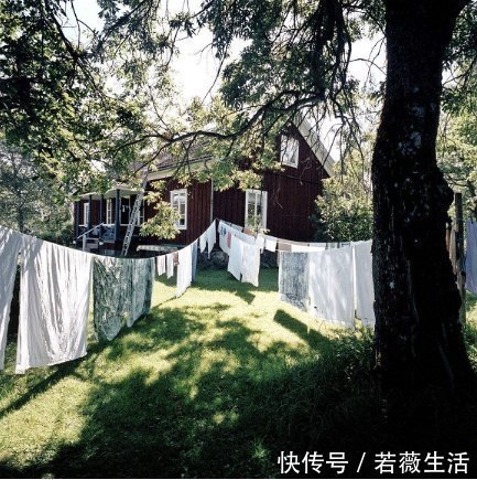 晾衣架|老婆无意间发现一户人家阳台,太高级了,先拍照等有了房照着装