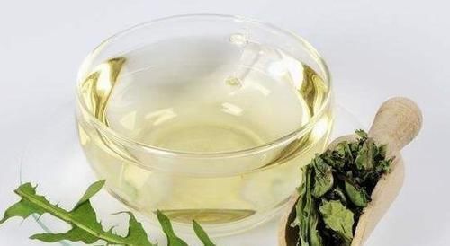 泡水|草药泡水,蒲公英首选,必须要注意三件事情哦