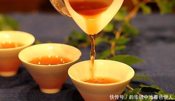 家里养花,乱浇这“3肥水”,烧根烂叶、土壤板结,难怪养不活!