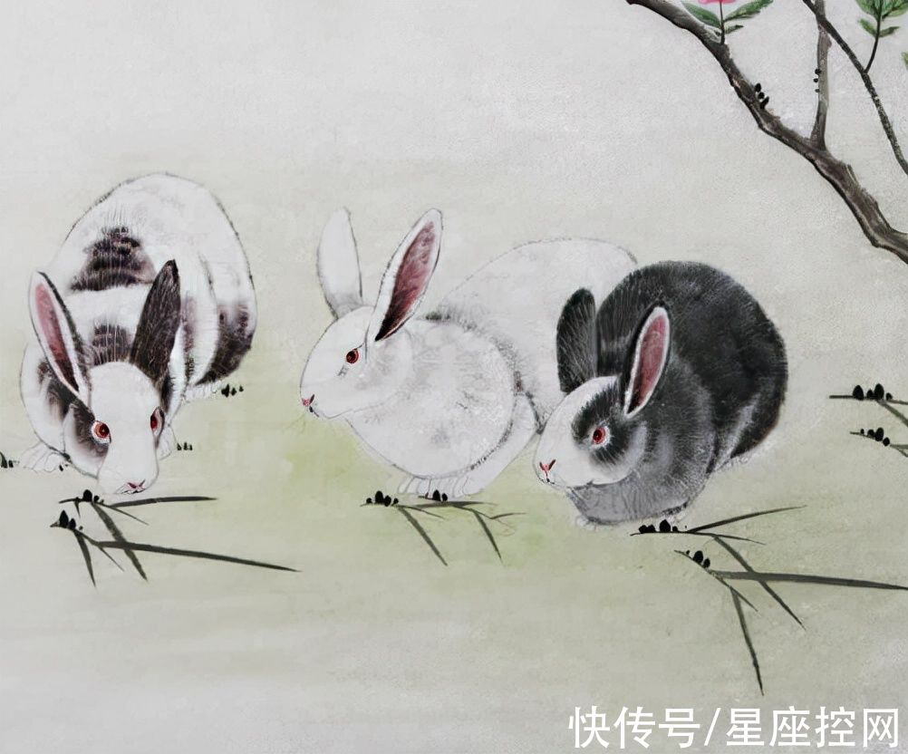 农历|生肖猪、兔、猴，农历虎年大运将至，春节带福归乡，全家腾飞在即