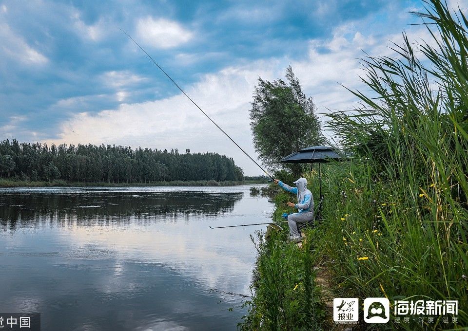 龙湖|济南：龙湖湿地夏末美景让人陶醉